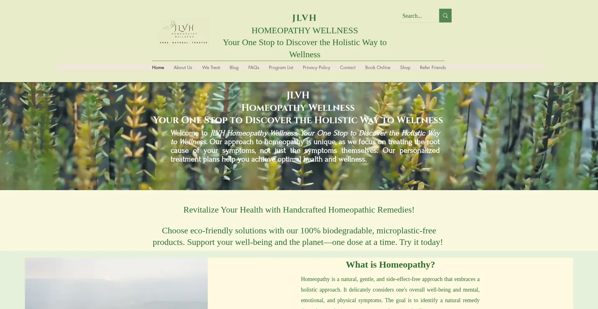 Jlvhhomeopathywellness.com