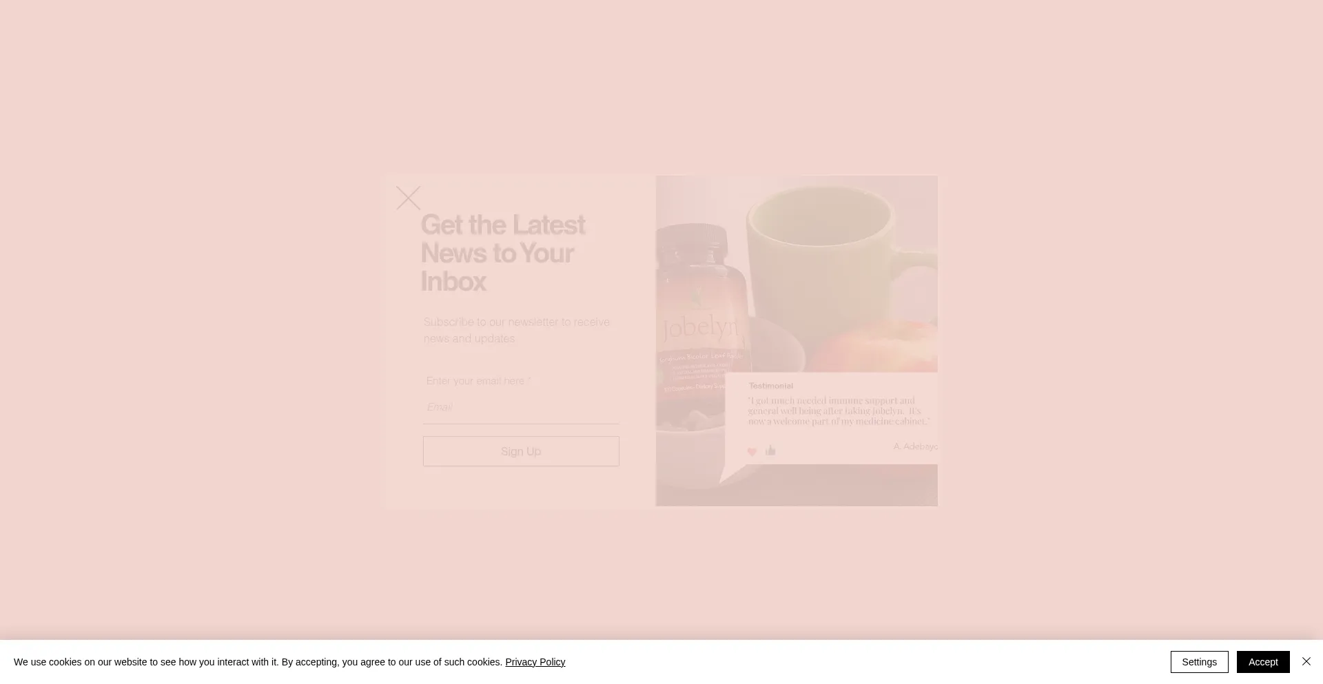 Jobelyn.us Screenshot