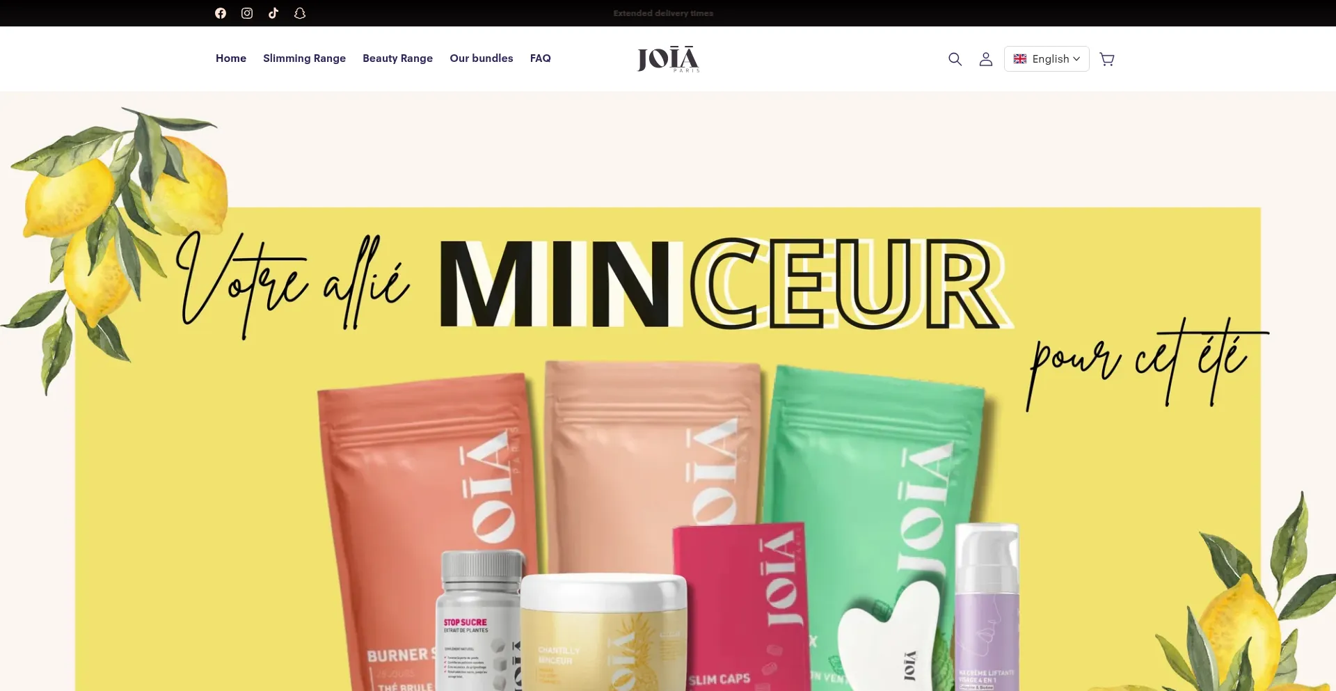 Website screenshot of Joiaparis.fr