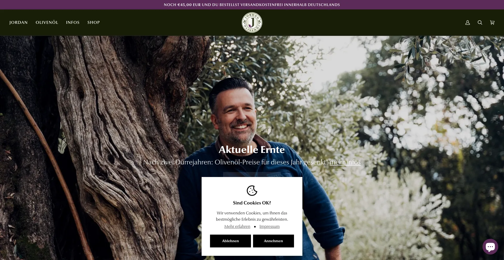 Website screenshot of Jordanolivenoel.de