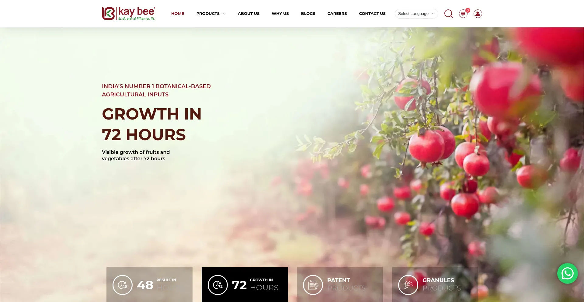 Website screenshot of Kaybeebio.com
