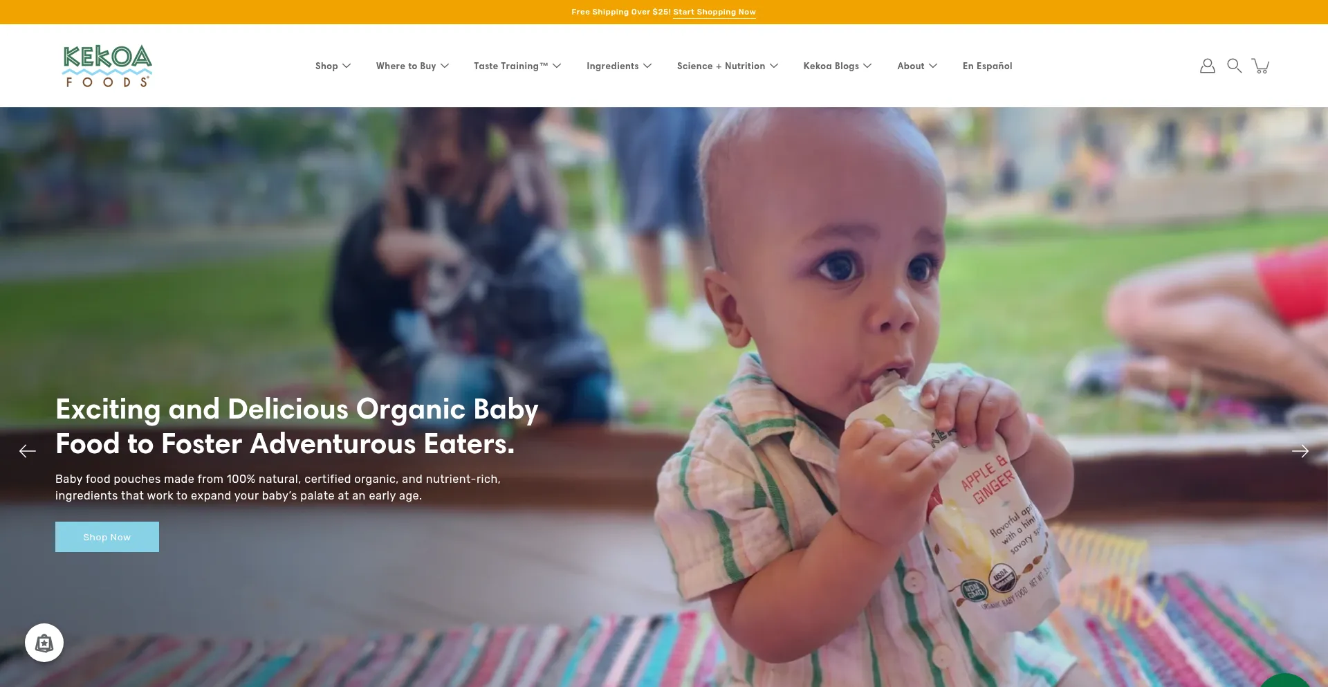 Website screenshot of Kekoafoods.com