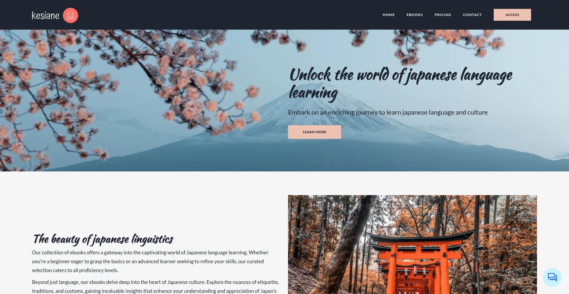 Website screenshot of Kesiane.com