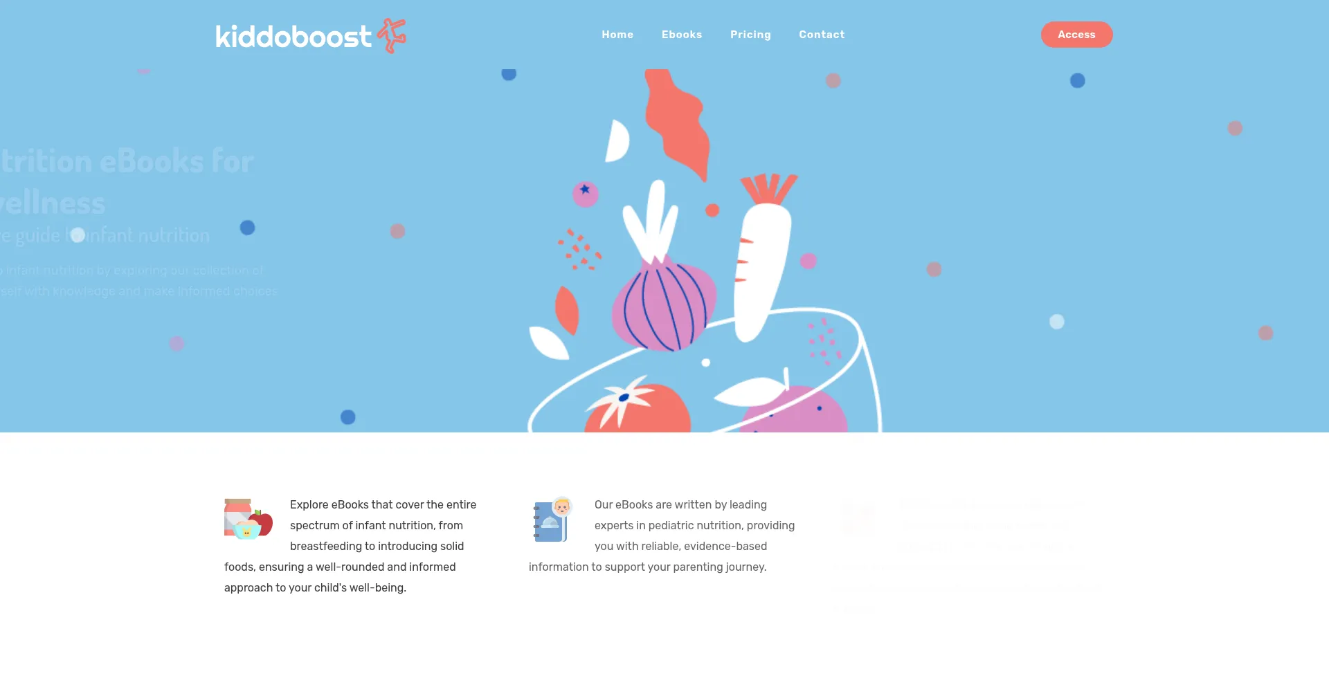 Website screenshot of Kiddoboost.com