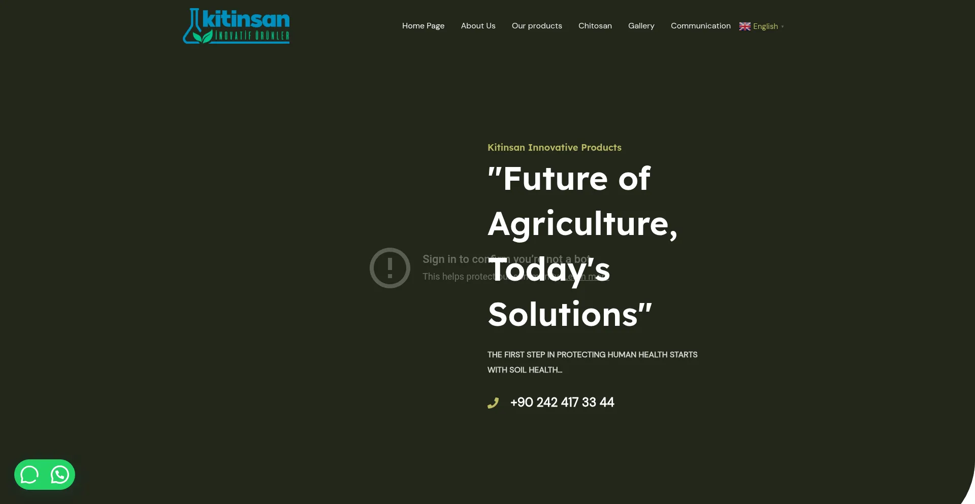 Website screenshot of Kitinsan.com