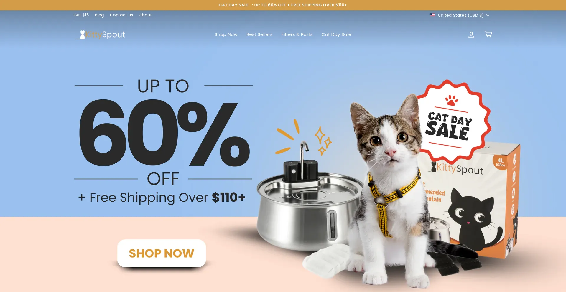 Website screenshot of Kittyspout.com
