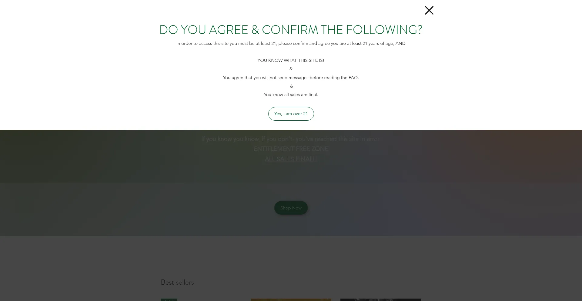 Website screenshot of Klassykandy.com