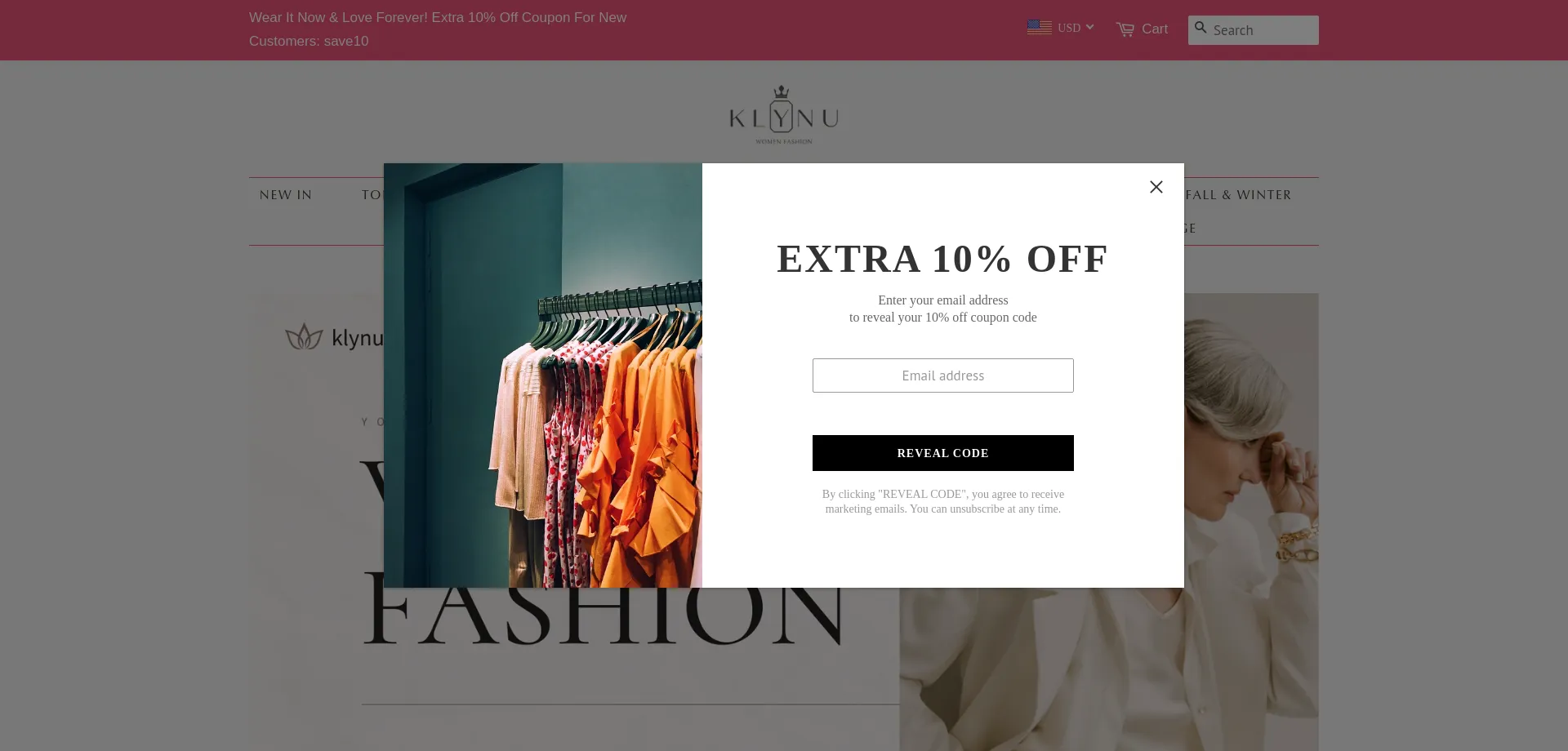 Website screenshot of Klynu.com
