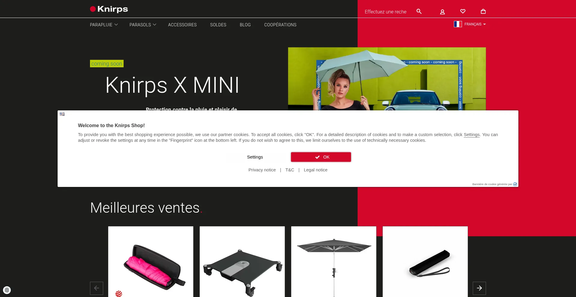 Knirps.fr 安全可靠吗？