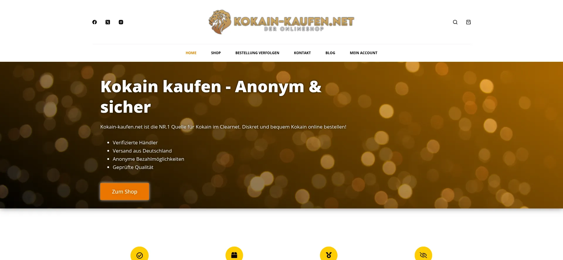 Website screenshot of Kokain-kaufen.net