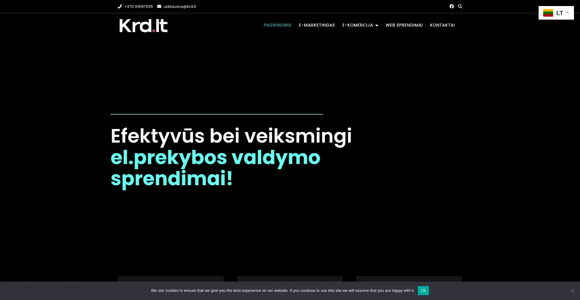 Website screenshot of Krd.lt