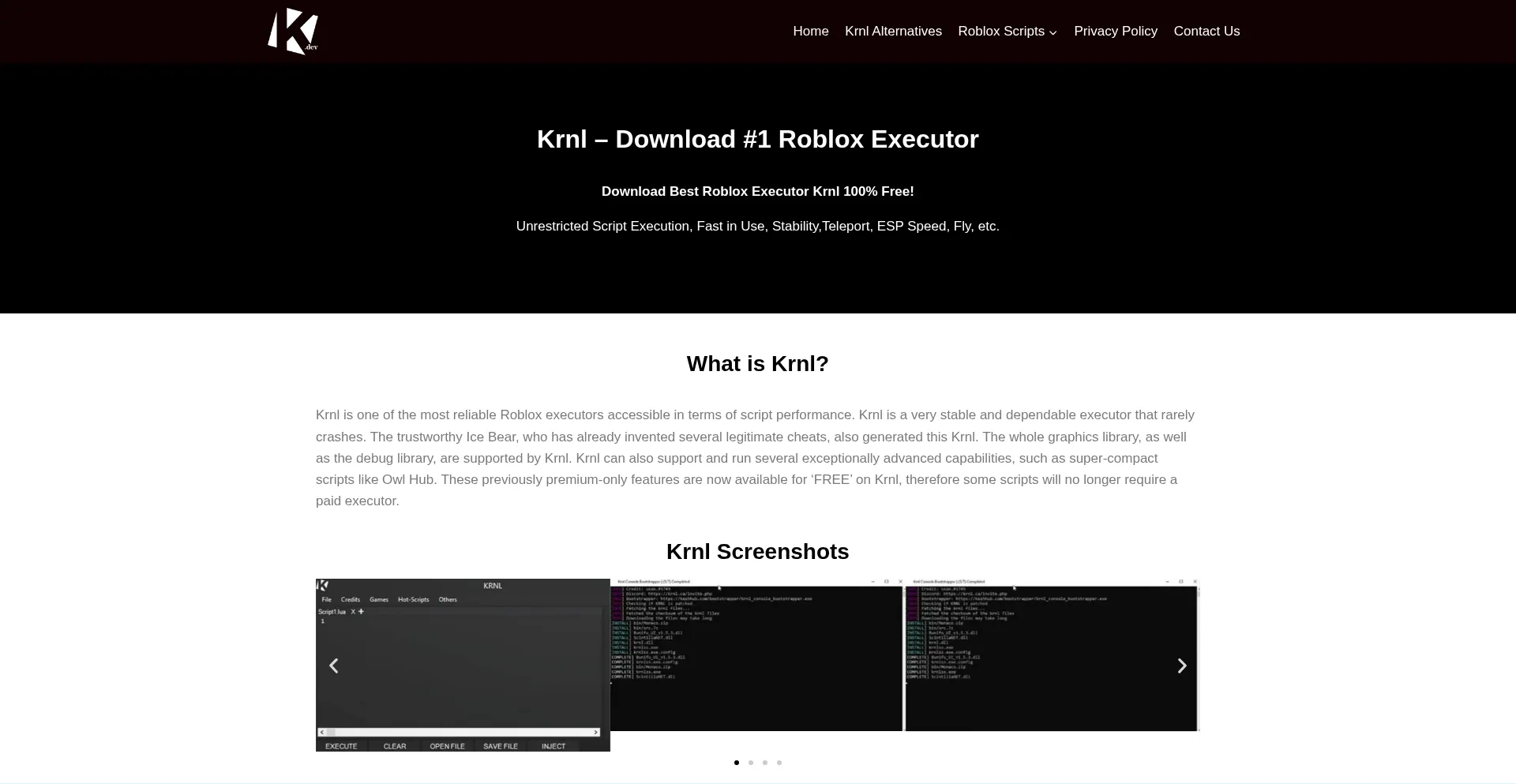 Website screenshot of Krnl.dev