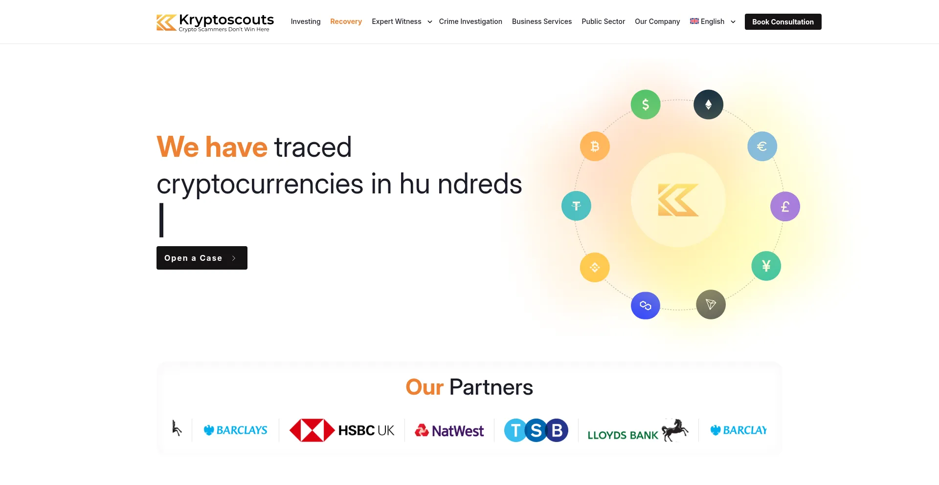 Website screenshot of Kryptoscouts.com