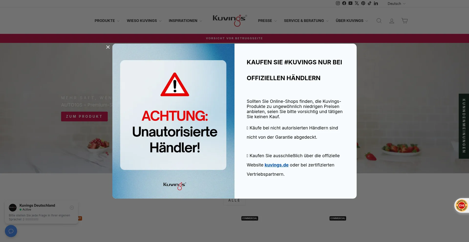Website screenshot of Kuvings.de