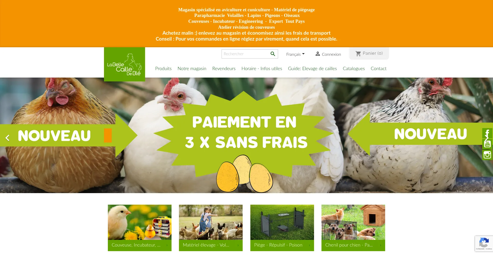 Labellecaille.com Screenshot