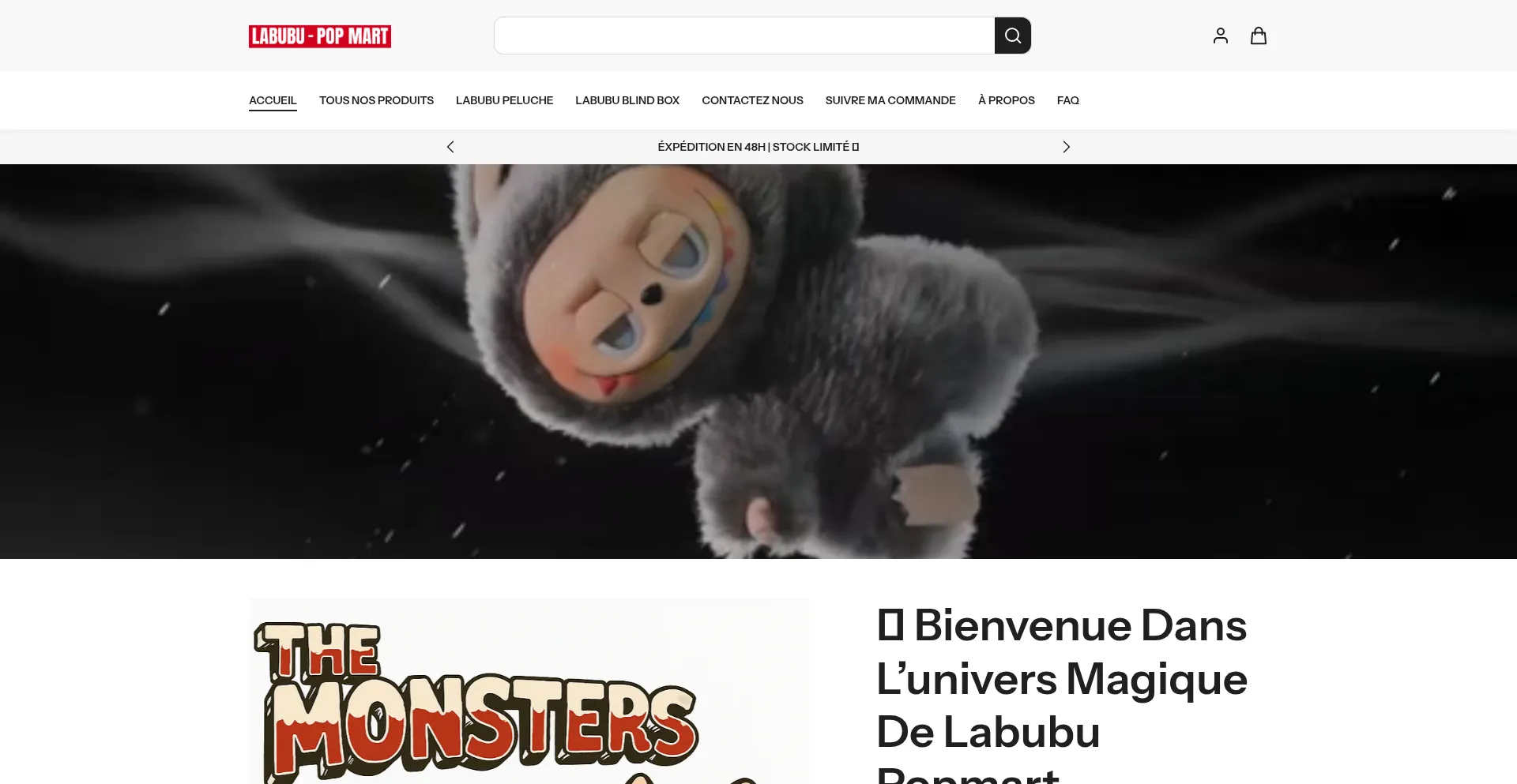 Website screenshot of Labubupopmart.fr