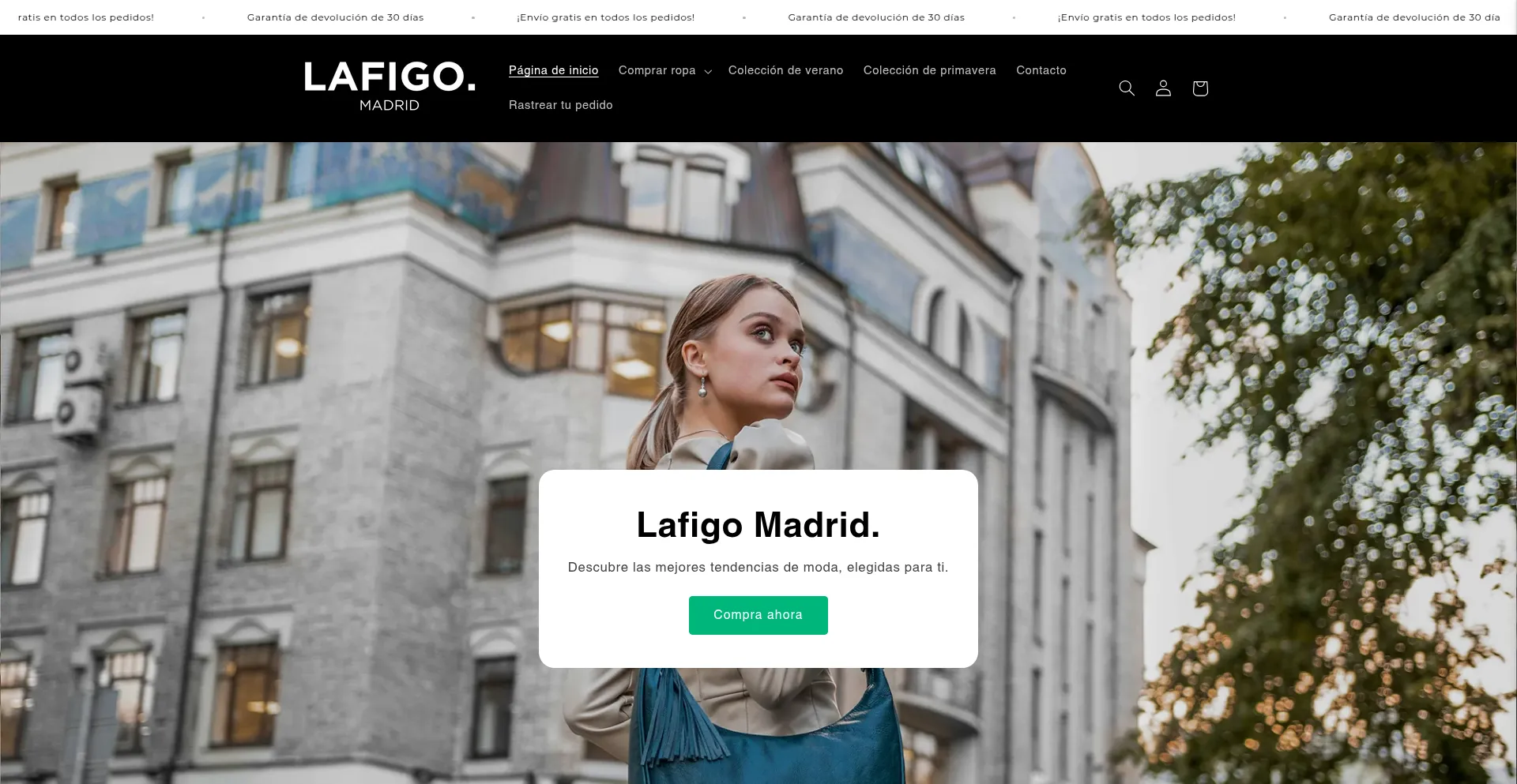 Website screenshot of Lafigo-madrid.es