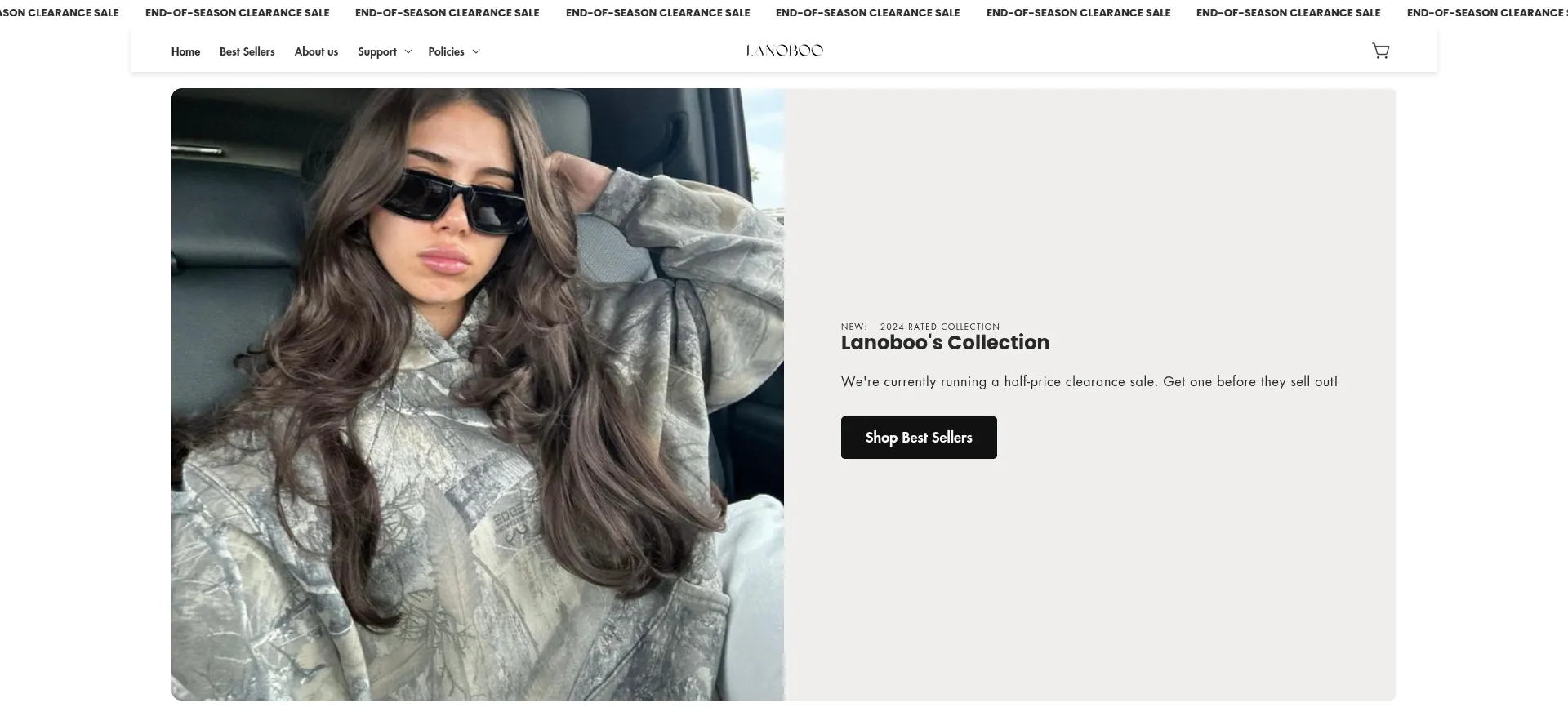 Website screenshot of Lanoboo.com