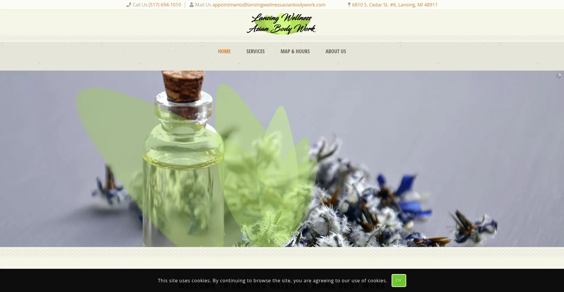 Lansingwellnessmassage.com