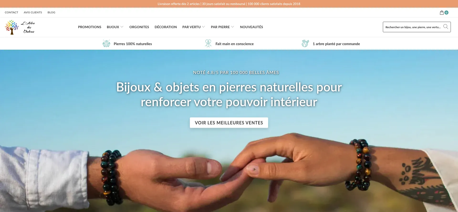 Website screenshot of Larbredeschakras.com