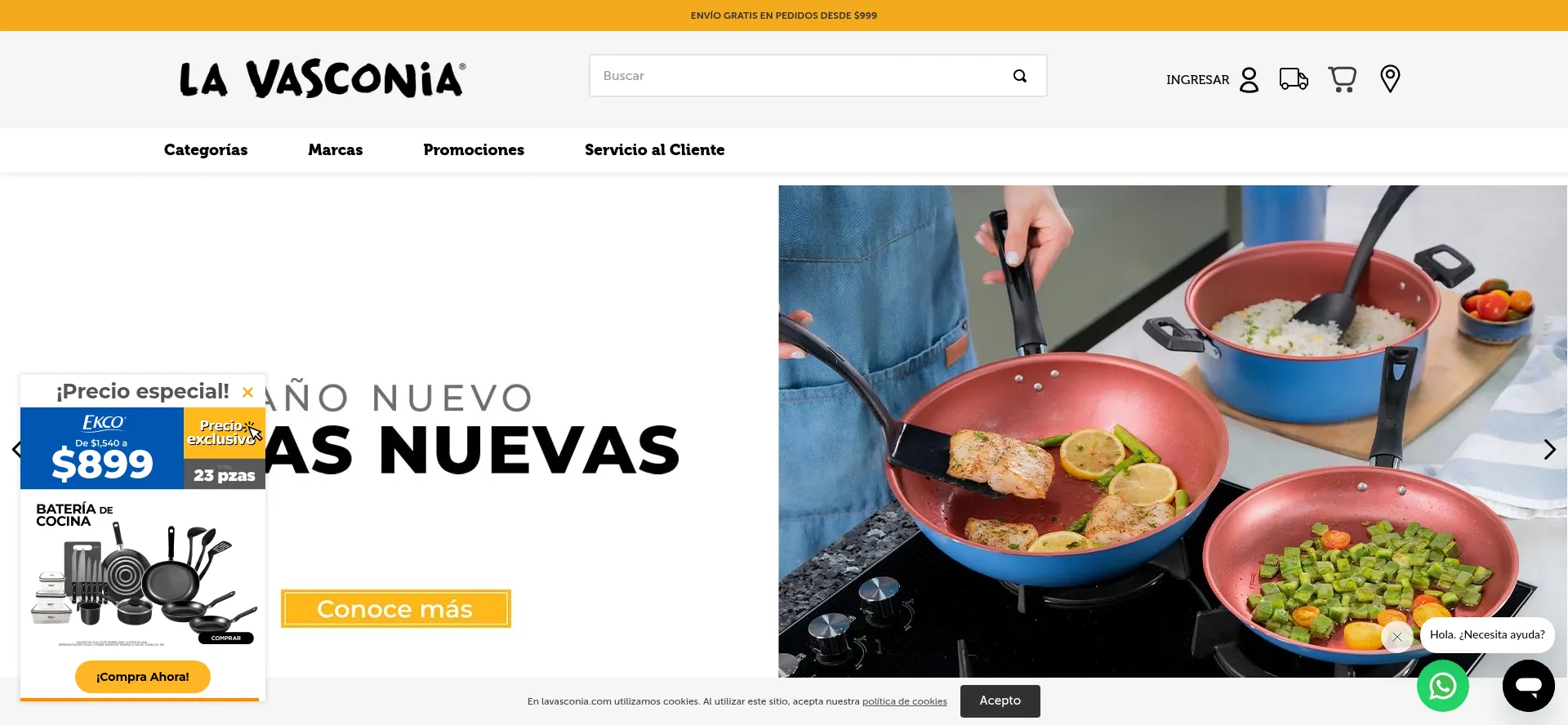 Website screenshot of Lavasconia.com