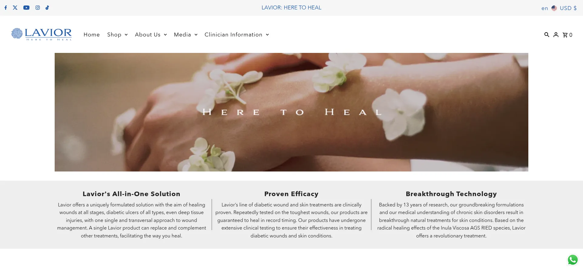 Website screenshot of Lavior.com