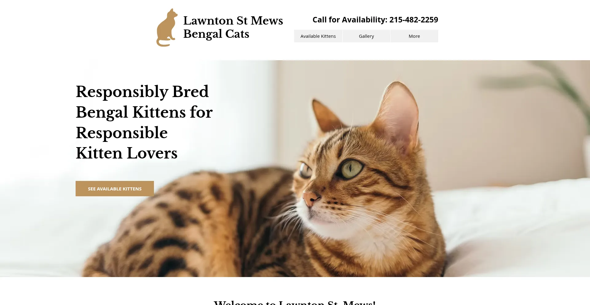 Lawntonstmewsbengals.com