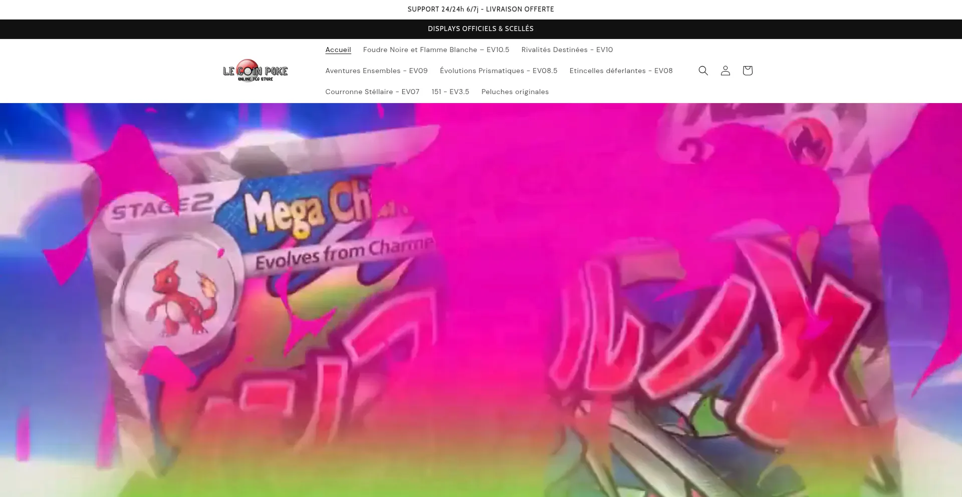 Website screenshot of Lecoinpoke.com
