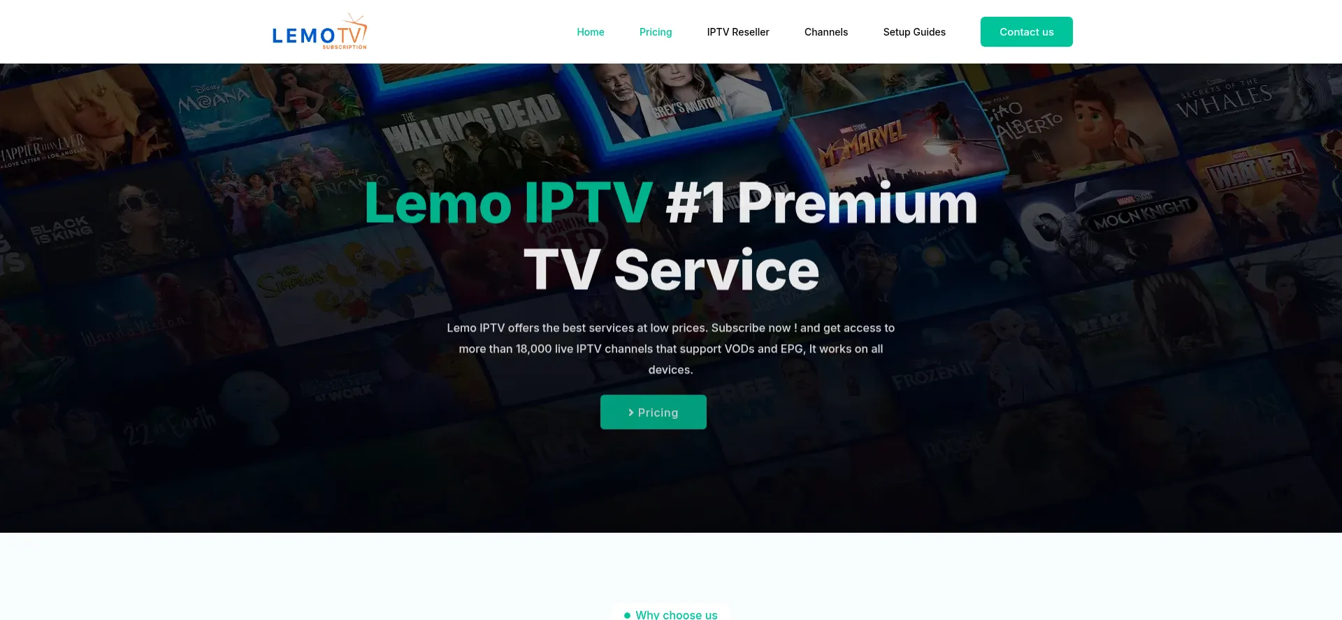 Website screenshot of Lemo-tv.net