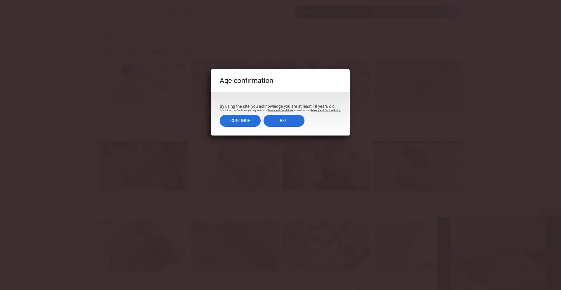Website screenshot of Lesbian8.com
