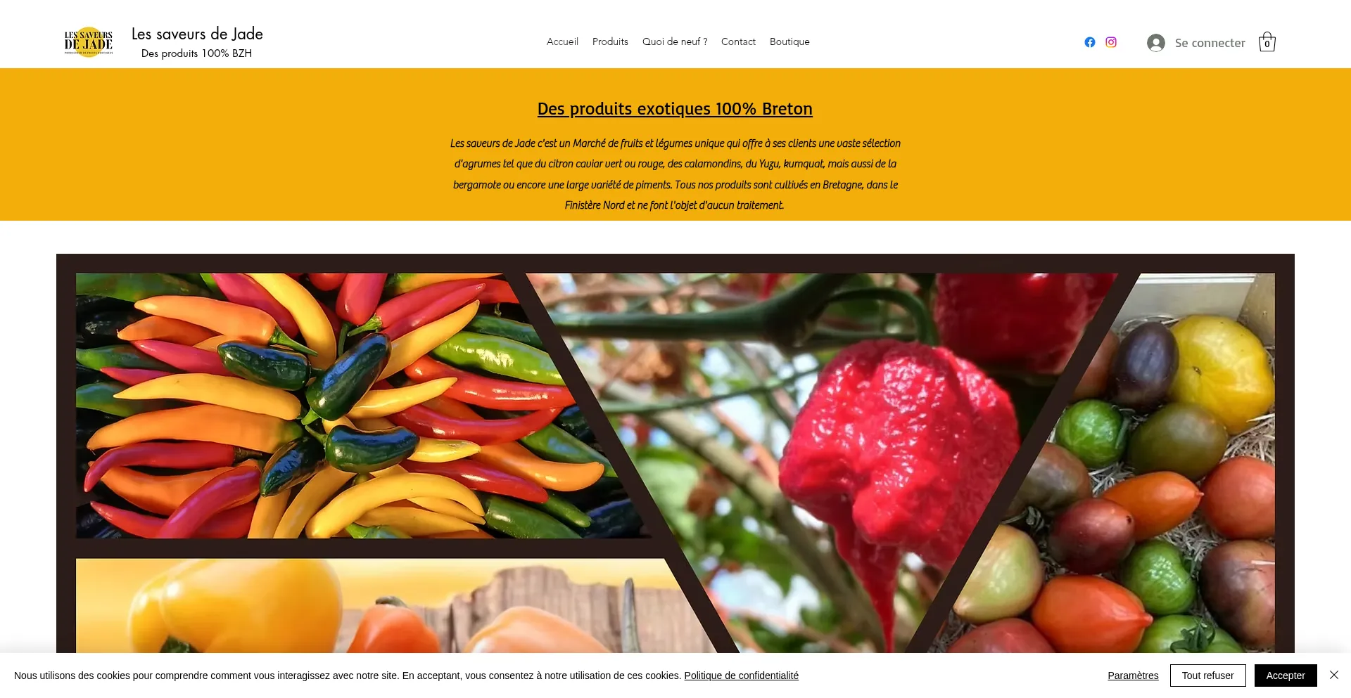 Lessaveursdejade.com