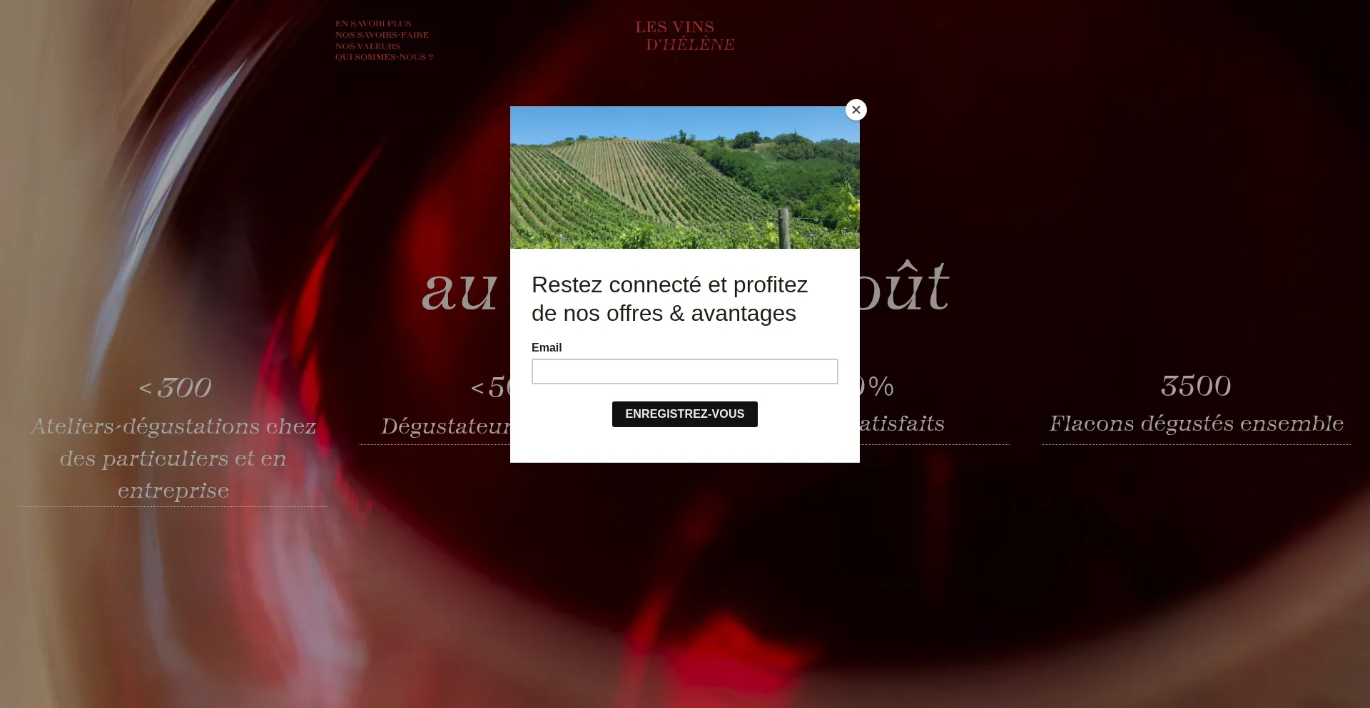Lesvinsdhelene.com 安全可靠吗？