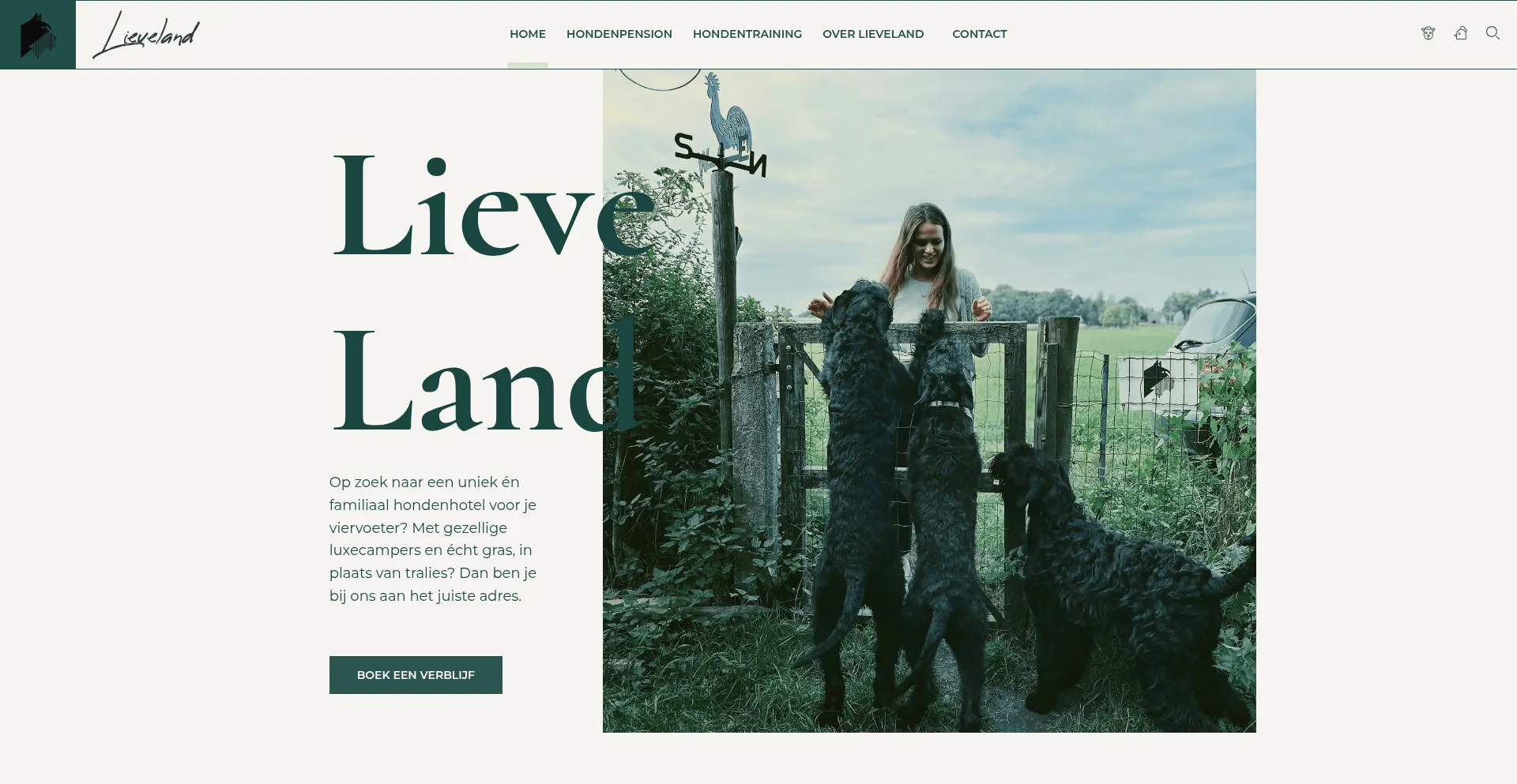 Website screenshot of Lieveland.be