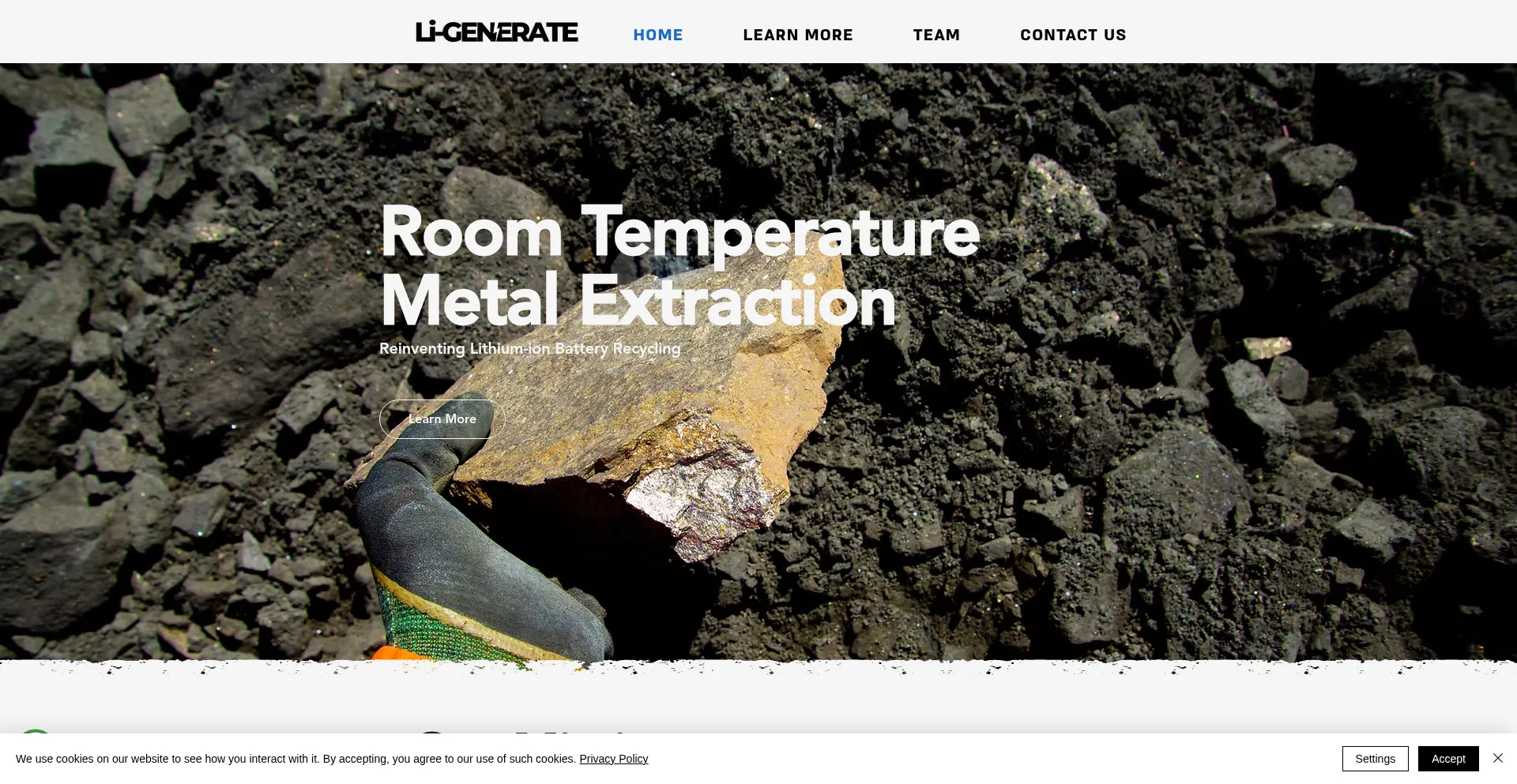 Website screenshot of Ligenerate.com