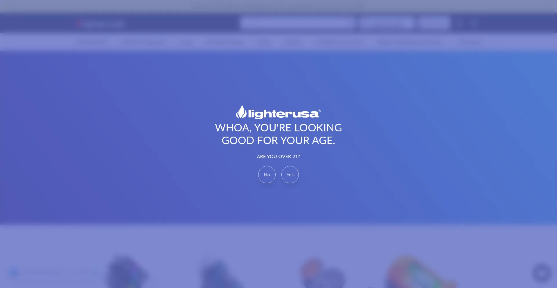 Website screenshot of Lighterusa.com
