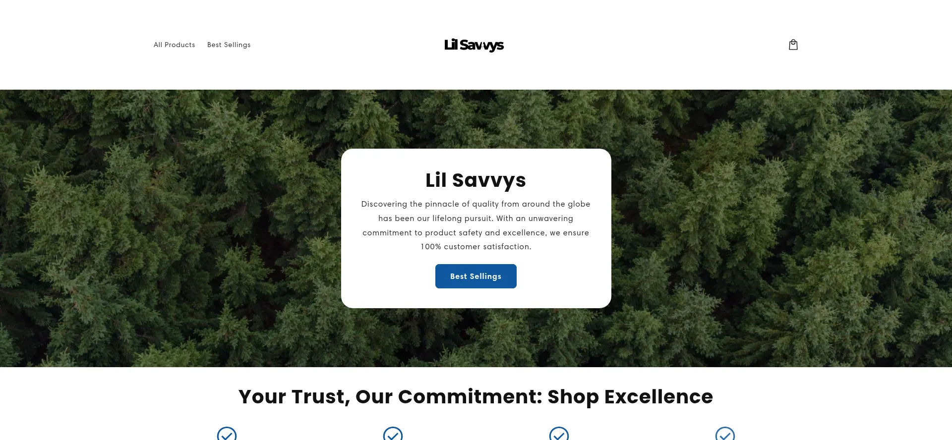 Lilsavvysshop.com