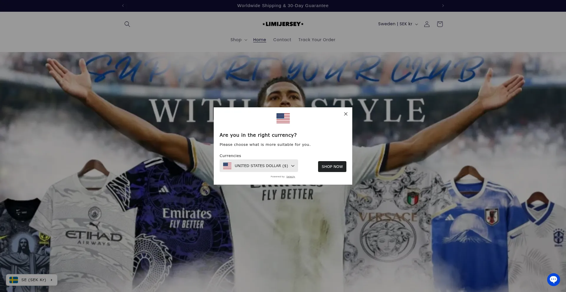 Website screenshot of Limijerseystore.com