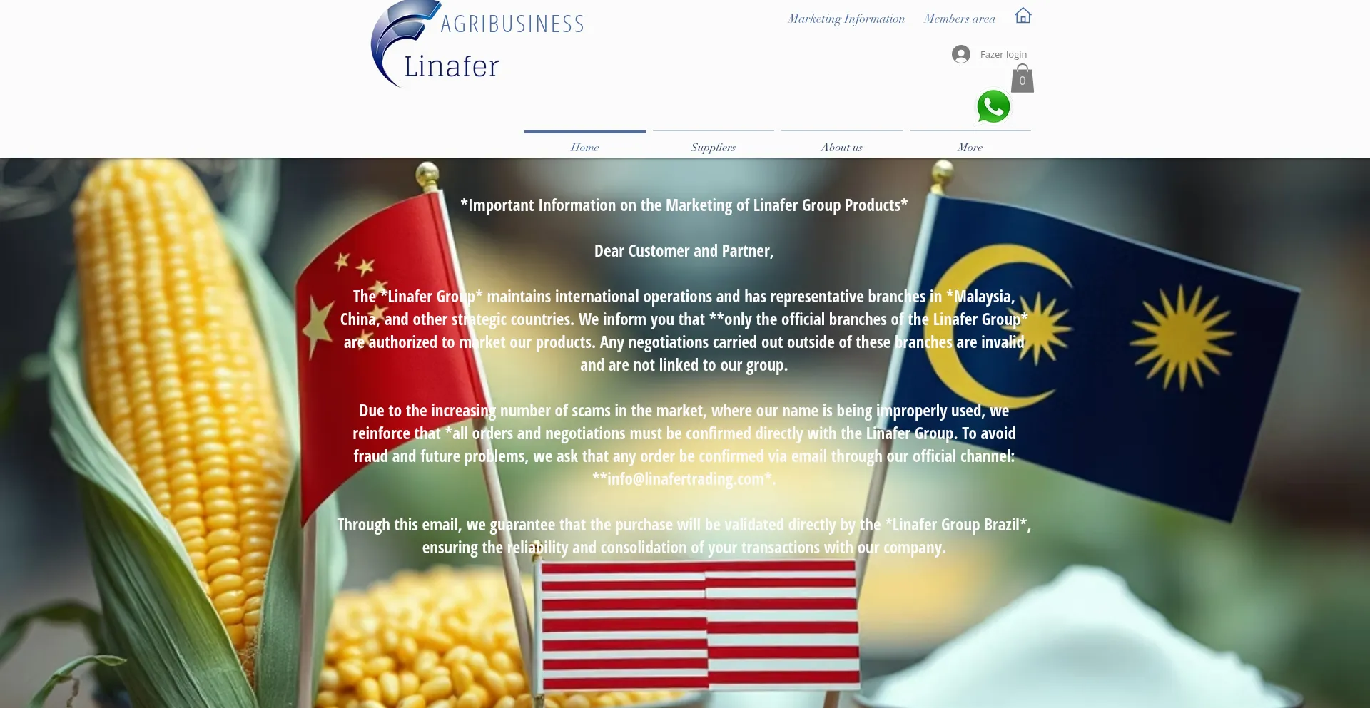 Website screenshot of Linafergroup.com