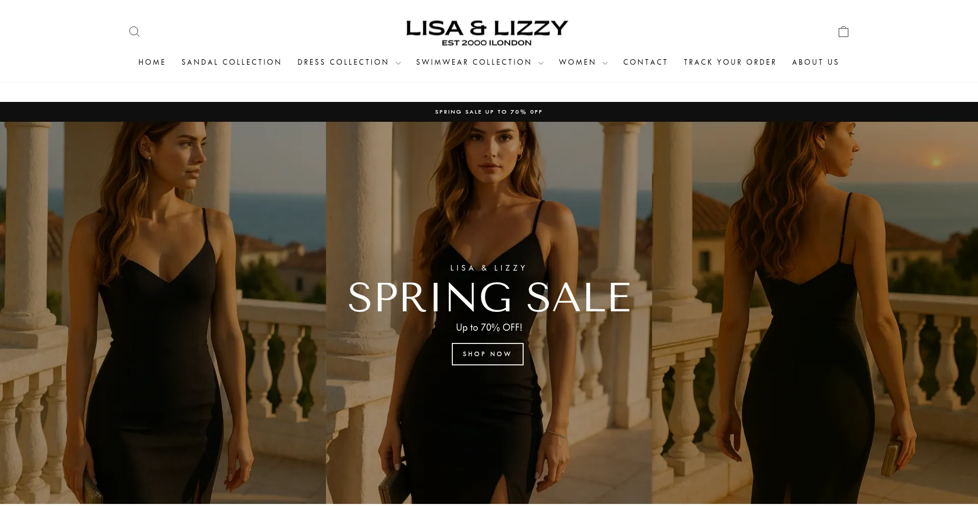 Website screenshot of Lisaandlizzy.co.uk