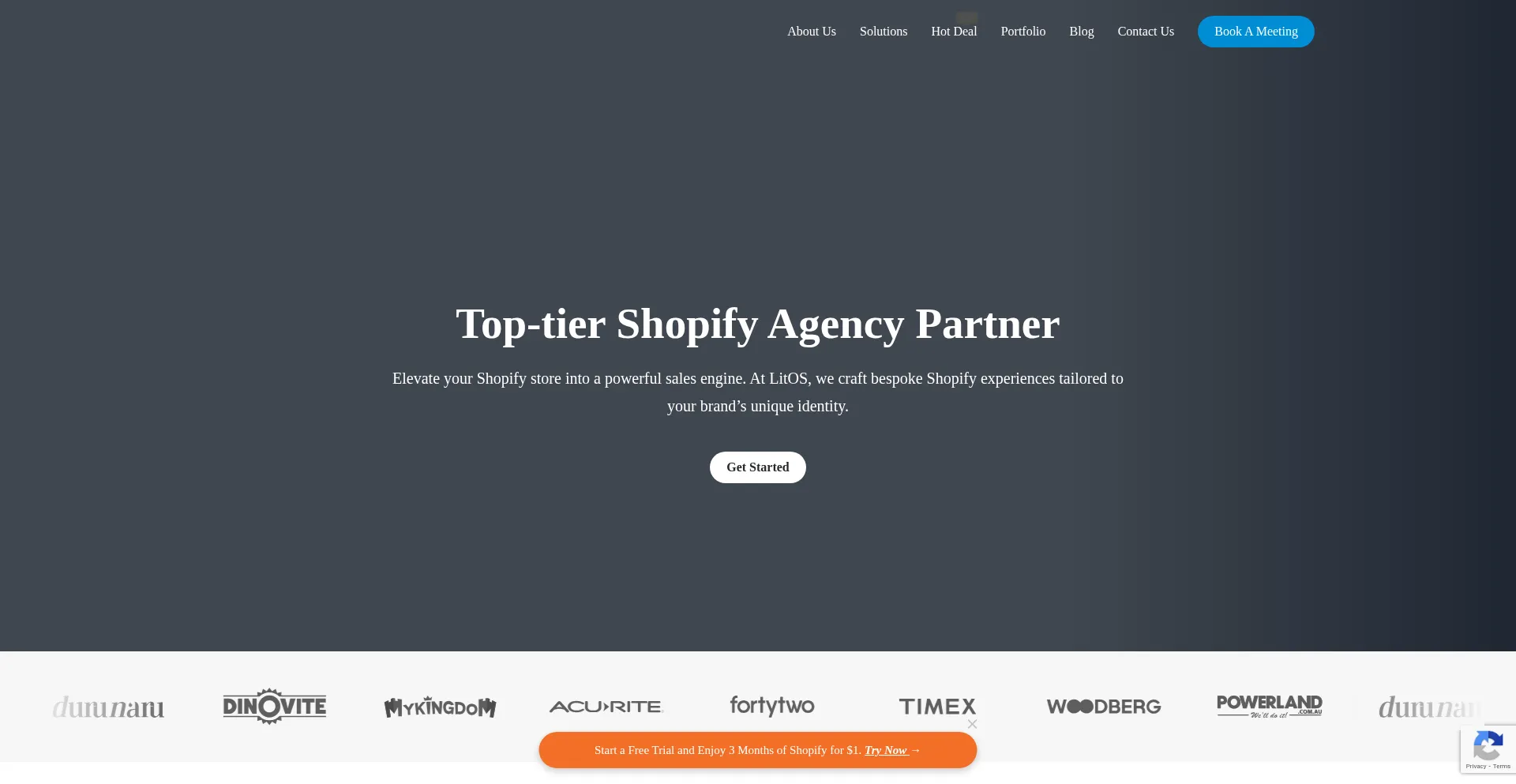 Website screenshot of Litos.io