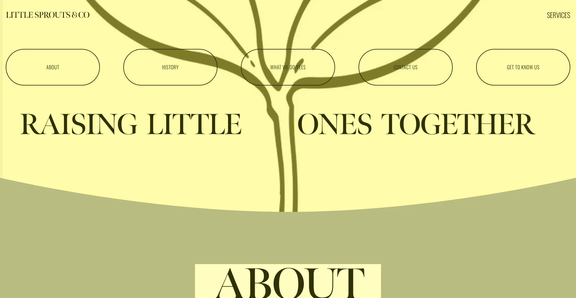 Website screenshot of Littlesproutsnco.com