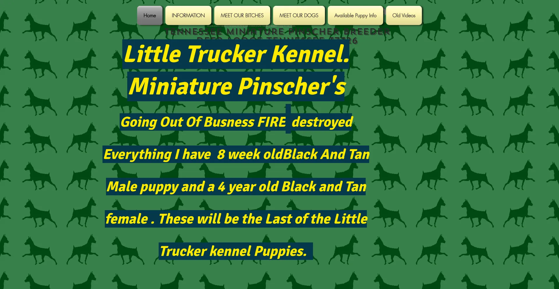 Littletruckerkennel.com 安全可靠吗？