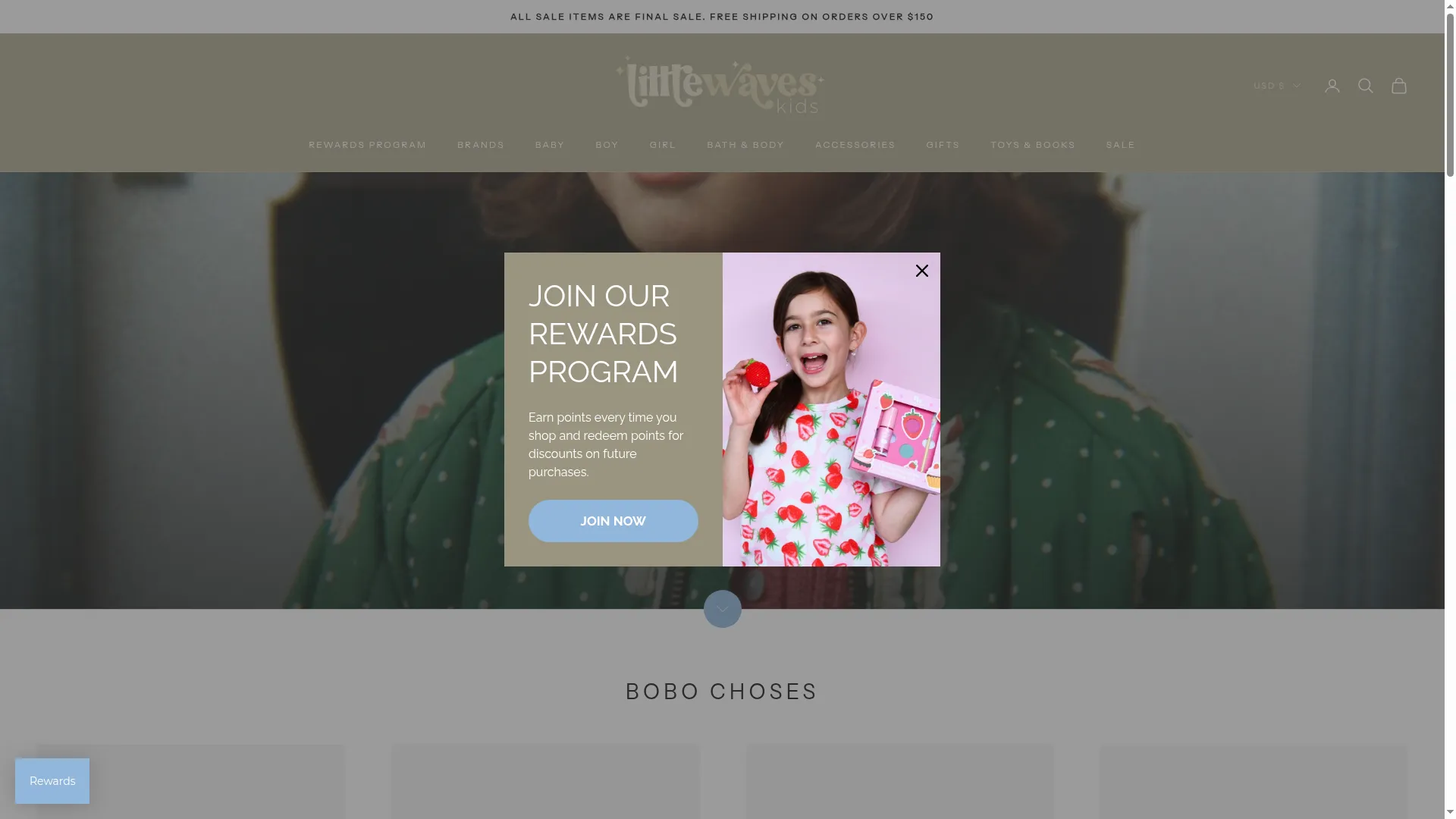 Littlewaveskids.com
