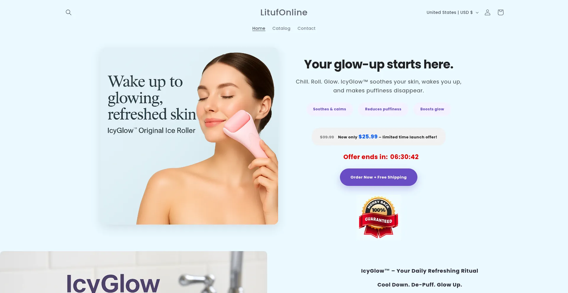 Website screenshot of Litufonline.com