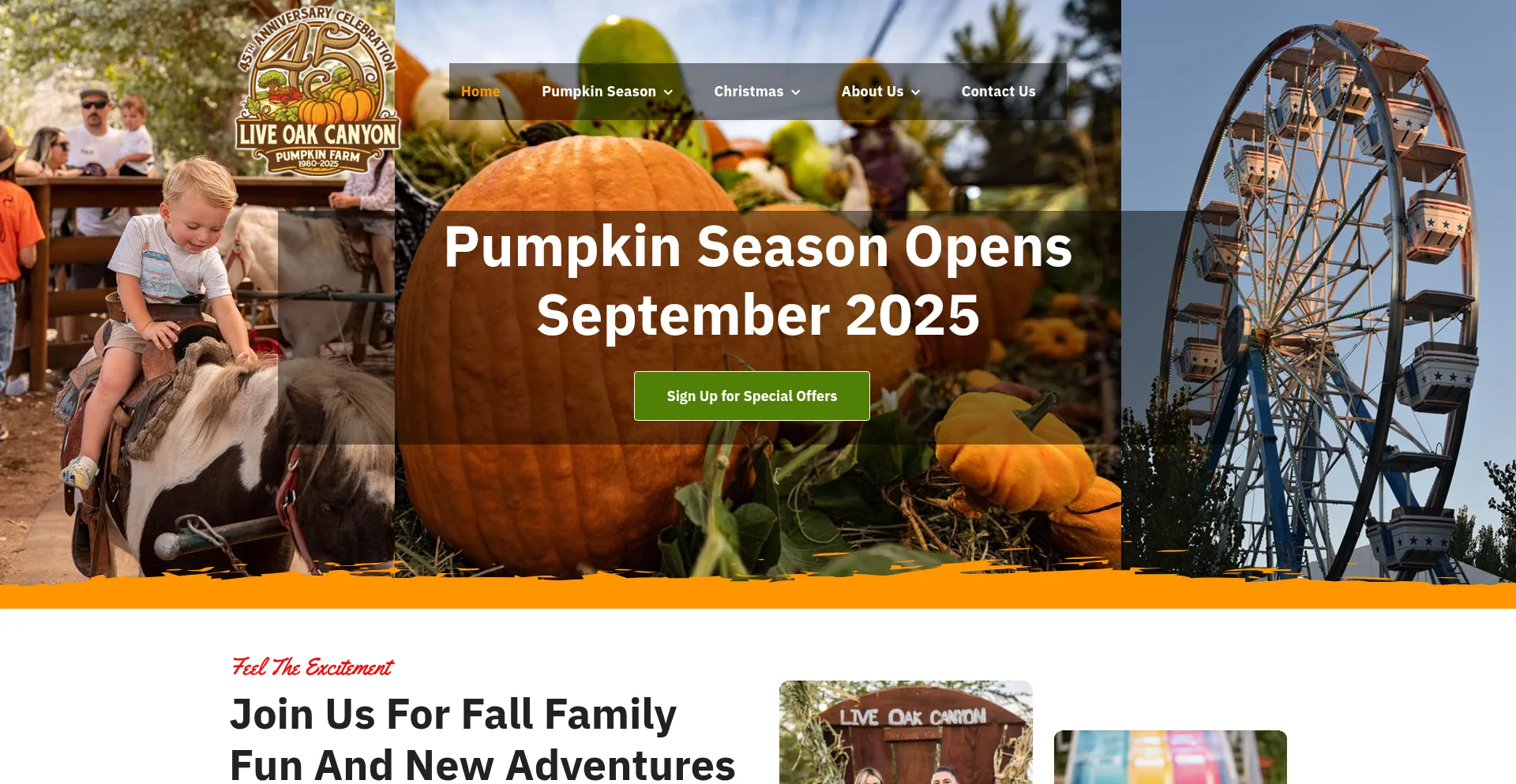 Website screenshot of Liveoakcanyon.com