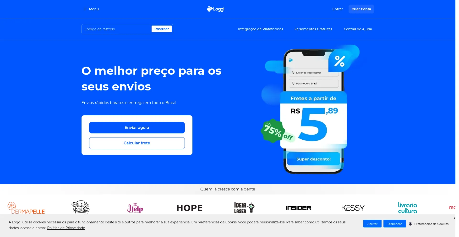 Website screenshot of Loaggi.top
