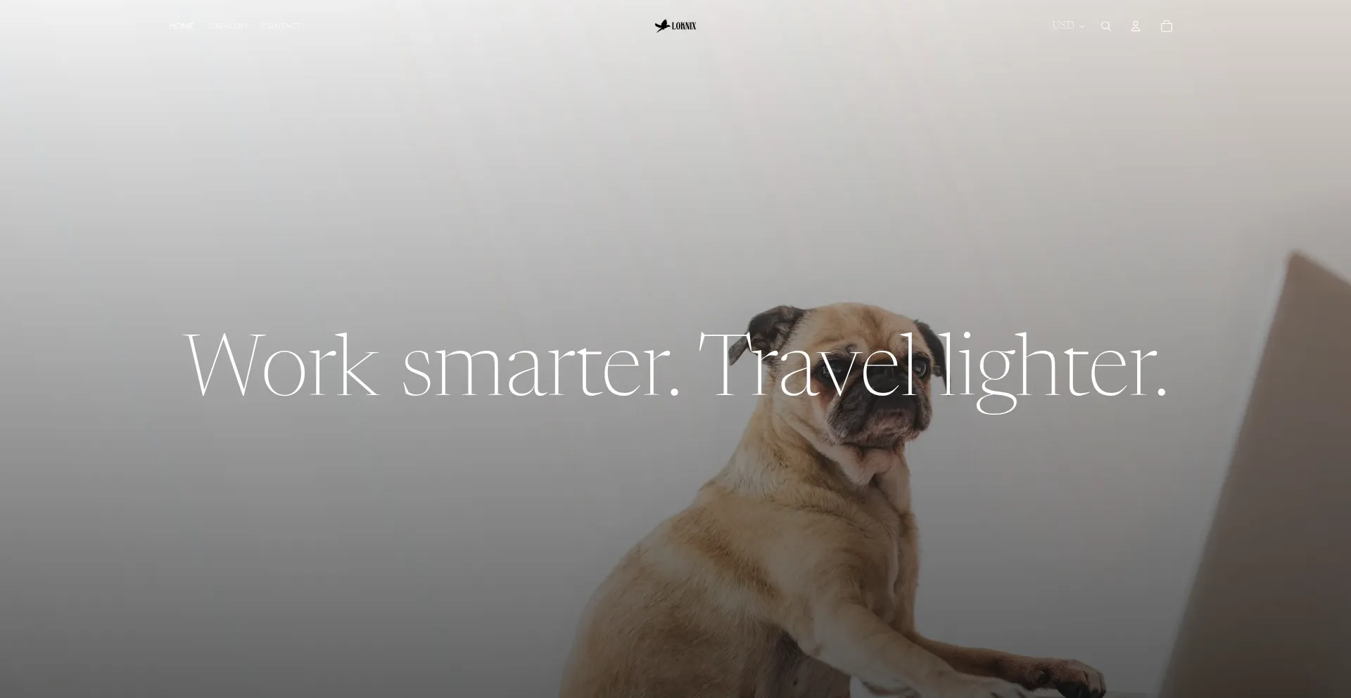 Website screenshot of Loknix.com