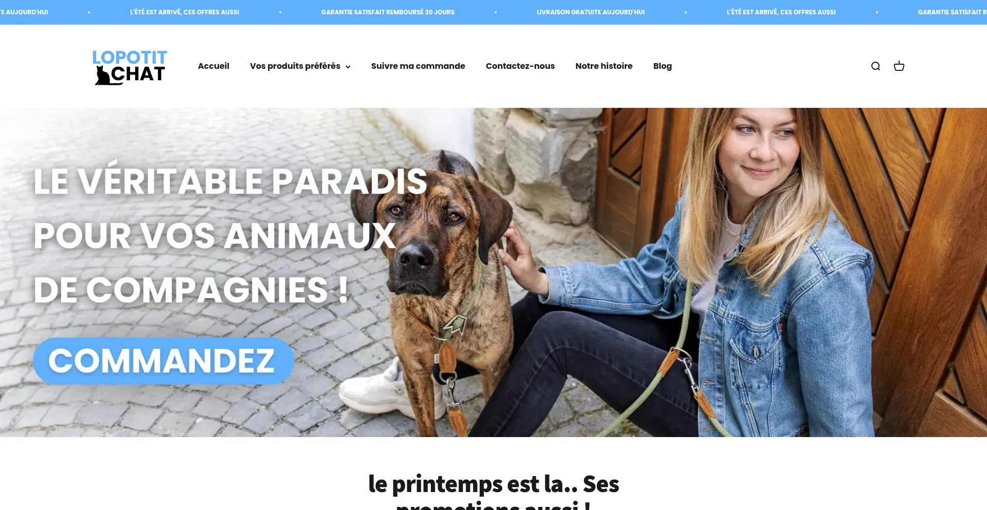 Website screenshot of Lopotitchat.fr