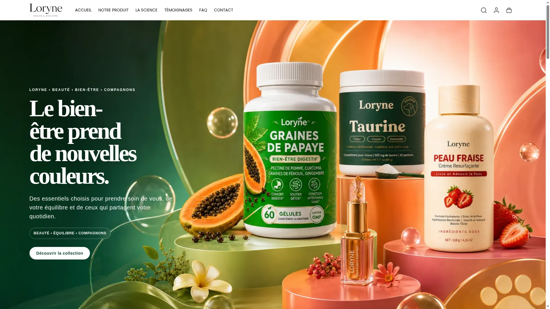 Loryne.shop