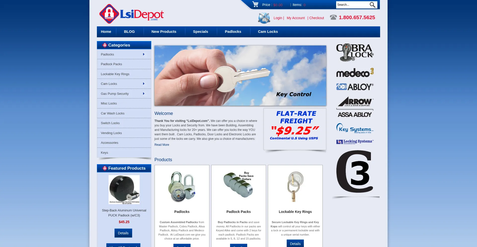 Website screenshot of Lsidepot.com